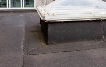 disadvantages of Noyadd Wilym flat roofs