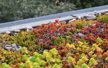 the cost of Noyadd Wilym green roof installation
