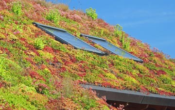 Noyadd Wilym living roof systems