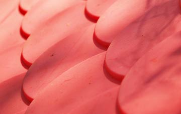 Noyadd Wilym plastic roof costs