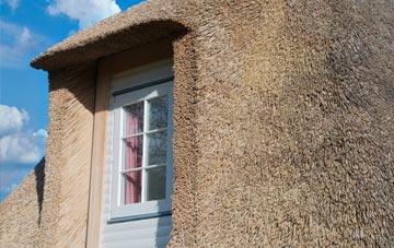 Noyadd Wilym thatch roof disadvantages